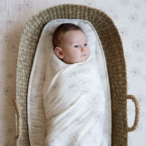 Babysvøb og swaddles