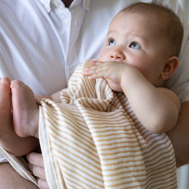 Cam Cam Copenhagen Stofble - 2-pak - GOTS - Oatfield